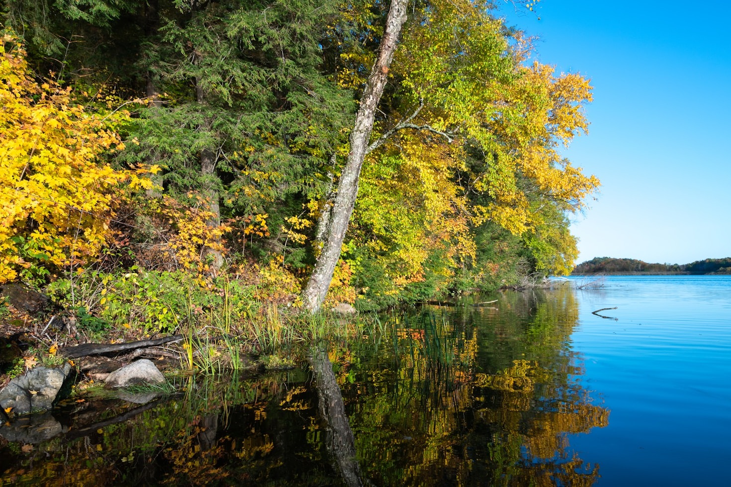 Hudson’s Unique Charm: Christopher’s Favorites